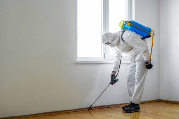 Best Pest Prevention Services  in North Richmond, CA