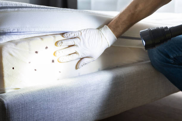 Best Pest Control Near Me in North Richmond, CA