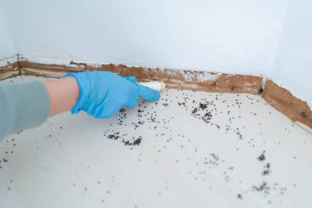 Best Best Pest Control Companies  in North Richmond, CA